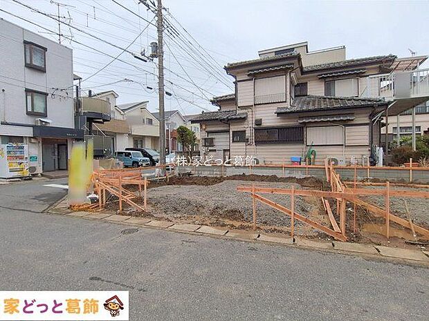 撮影日(2026-02-26 00:00:00)