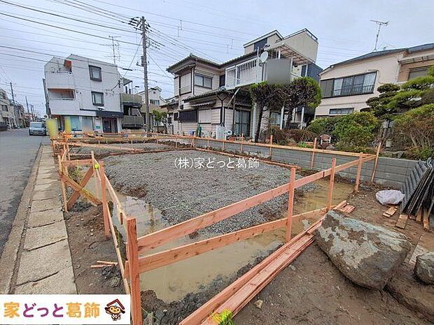 撮影日(2026-02-26 00:00:00)