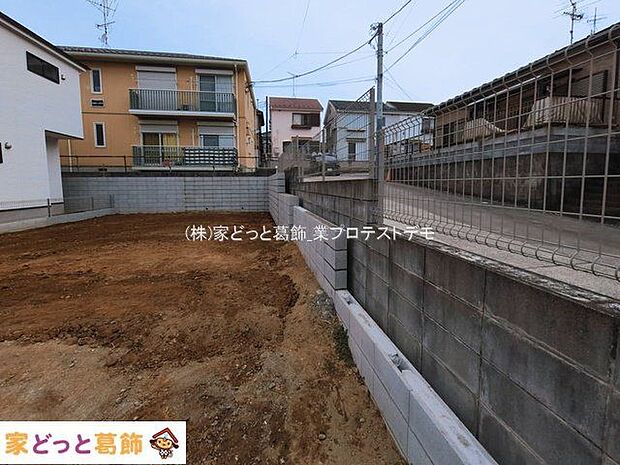 撮影日(2026-03-10 00:00:00)