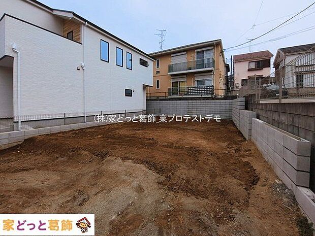 撮影日(2026-03-10 00:00:00)