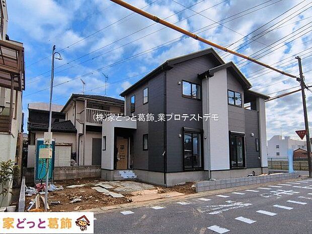 撮影日(2026-03-06 00:00:00)