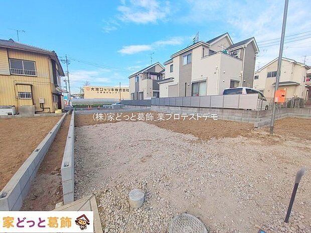 撮影日(2025-12-11 00:00:00)