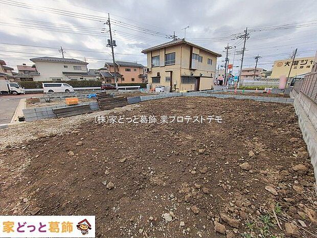 撮影日(2026-02-17 00:00:00)