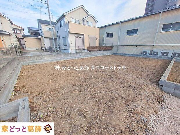 撮影日(2025-12-11 00:00:00)