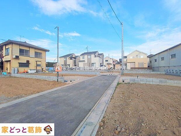 撮影日(2025-12-11 00:00:00)