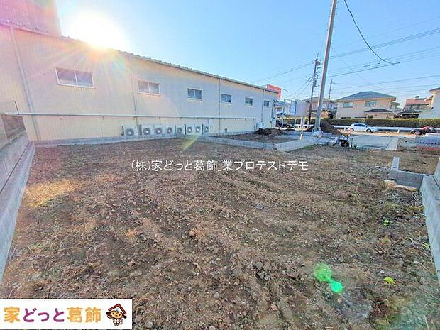 撮影日(2025-11-17 00:00:00)