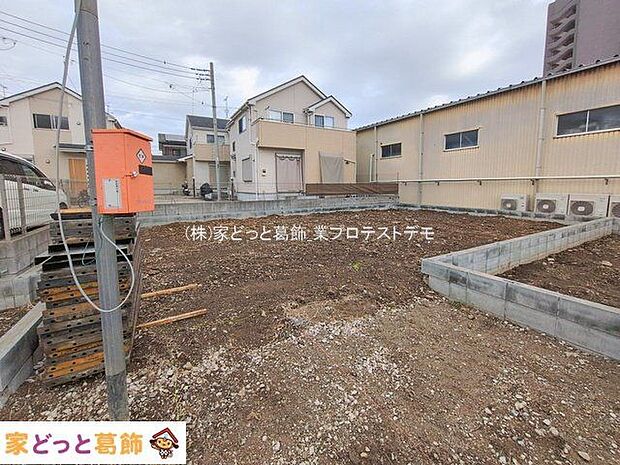 撮影日(2026-02-17 00:00:00)