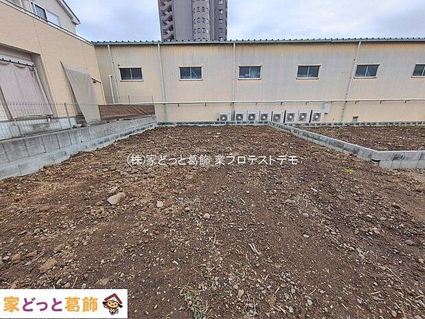 撮影日(2026-02-17 00:00:00)