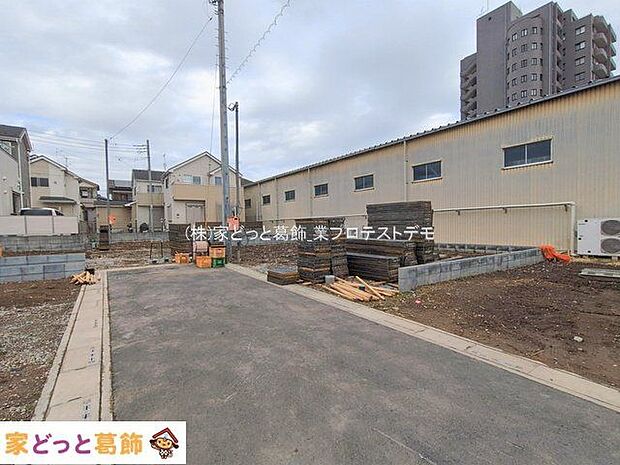 撮影日(2026-02-17 00:00:00)