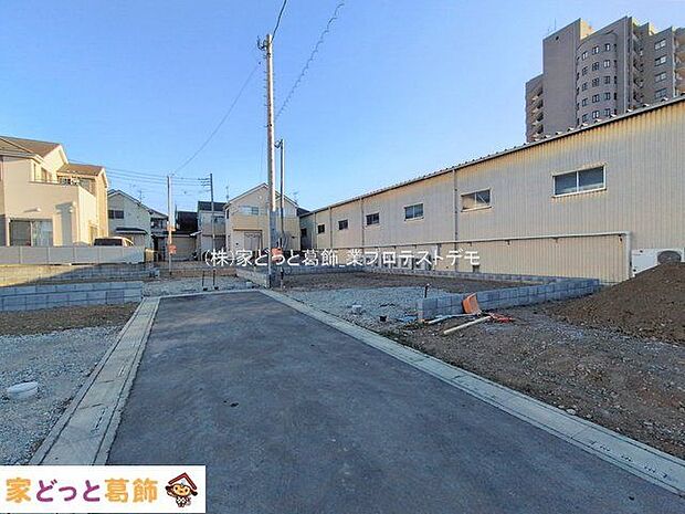 撮影日(2026-01-29 00:00:00)