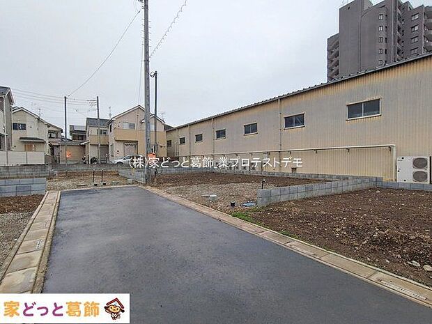 撮影日(2026-01-07 00:00:00)