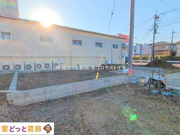 撮影日(2025-11-17 00:00:00)