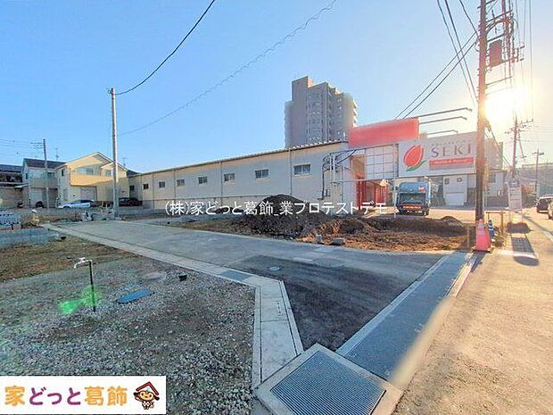 撮影日(2025-11-17 00:00:00)