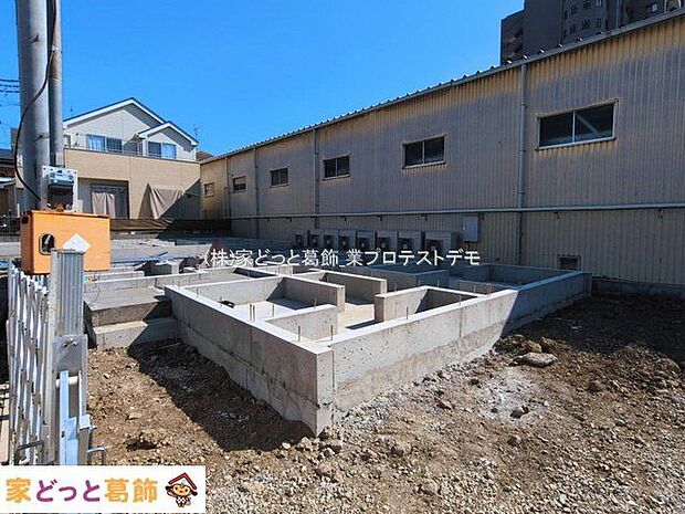 撮影日(2026-03-12)