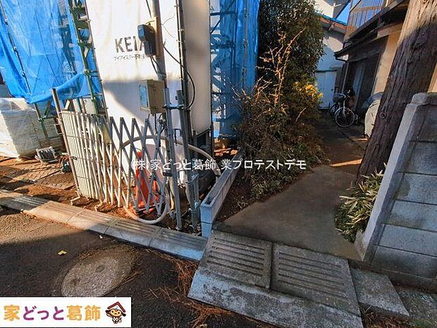 撮影日(2026-03-11 00:00:00)