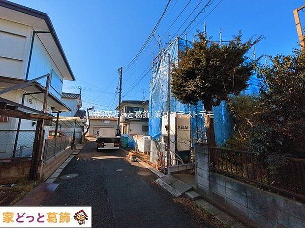撮影日(2026-03-11 00:00:00)