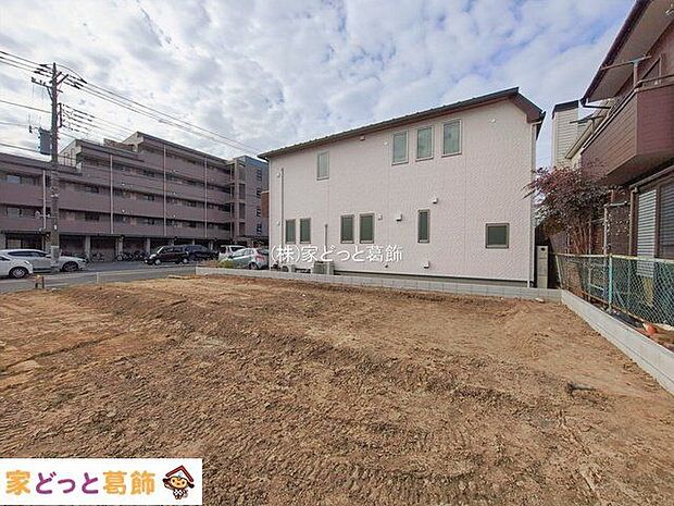 撮影日(2026-01-28 00:00:00)