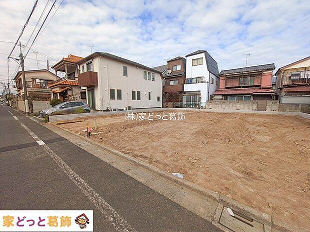 撮影日(2026-01-28 00:00:00)