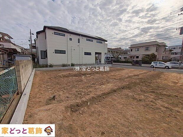 撮影日(2026-01-28 00:00:00)