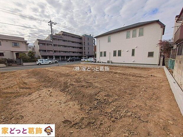 撮影日(2026-01-28 00:00:00)