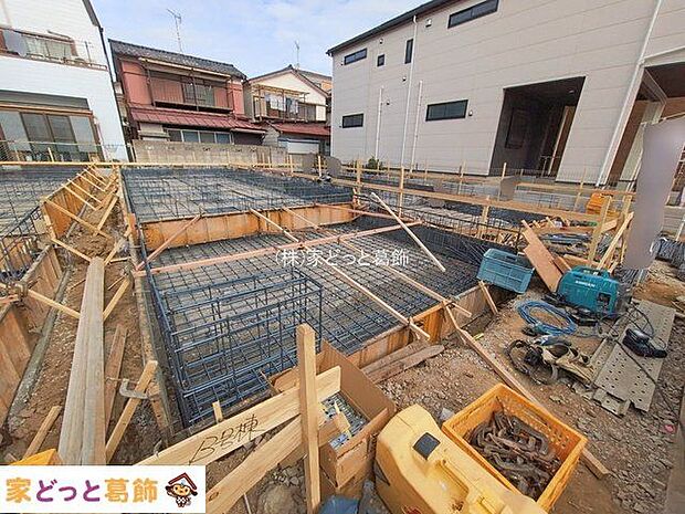 撮影日(2026-02-20 00:00:00)