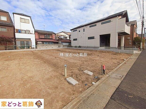 撮影日(2026-01-28 00:00:00)