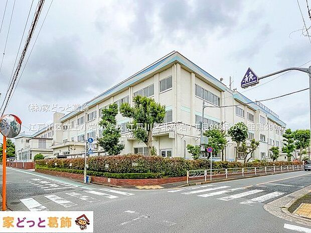 江戸川区立上小岩小学校 撮影日(2022-05-17) 390m