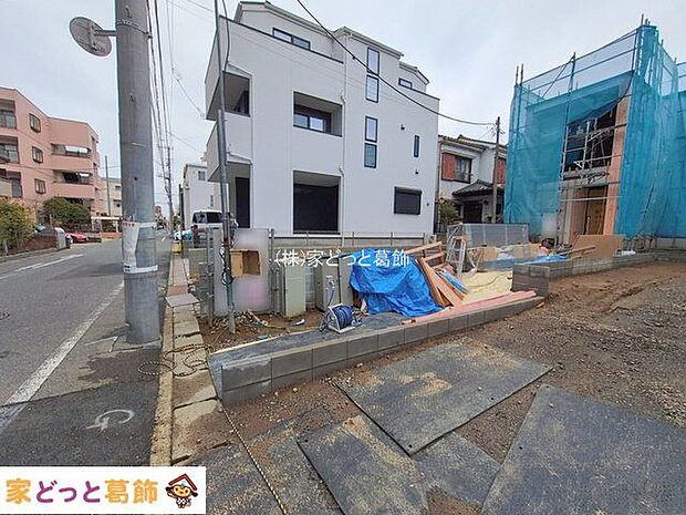 撮影日(2026-02-26 00:00:00)