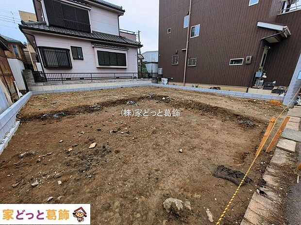 撮影日(2026-03-02 00:00:00)