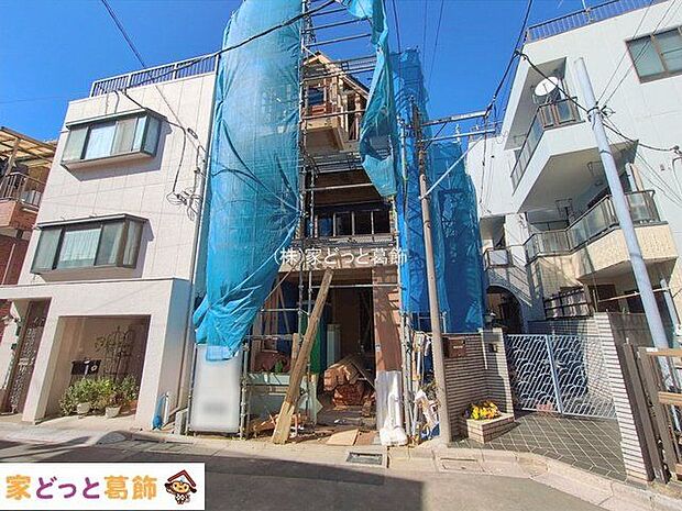 撮影日(2026-02-19 00:00:00)