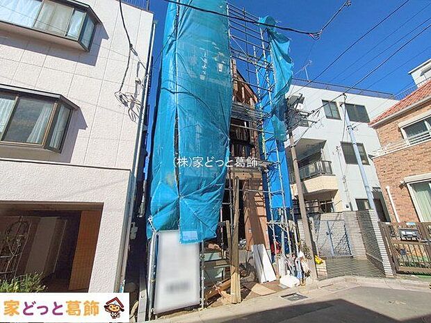 撮影日(2026-02-19 00:00:00)