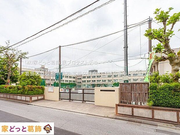 葛飾区立桜道中学校 撮影日(2021-05-07) 1110m