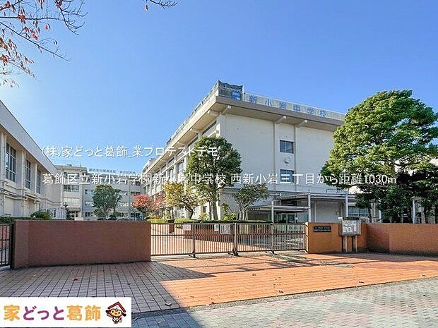 葛飾区立新小岩学園新小岩中学校 撮影日(2023-11-16) 1030m