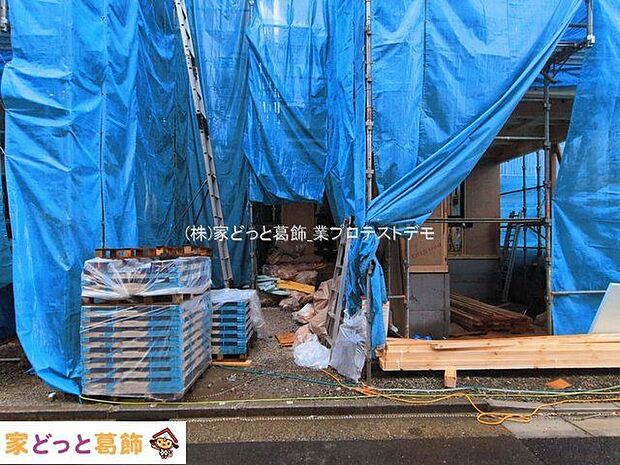 撮影日(2026-03-03 00:00:00)