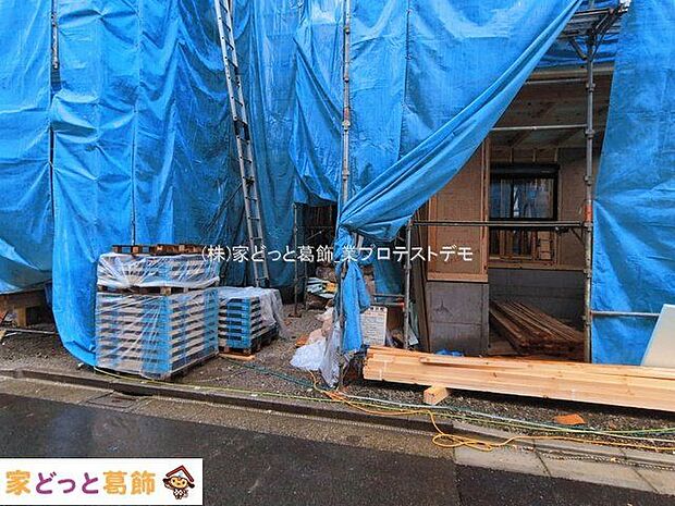 撮影日(2026-03-03 00:00:00)