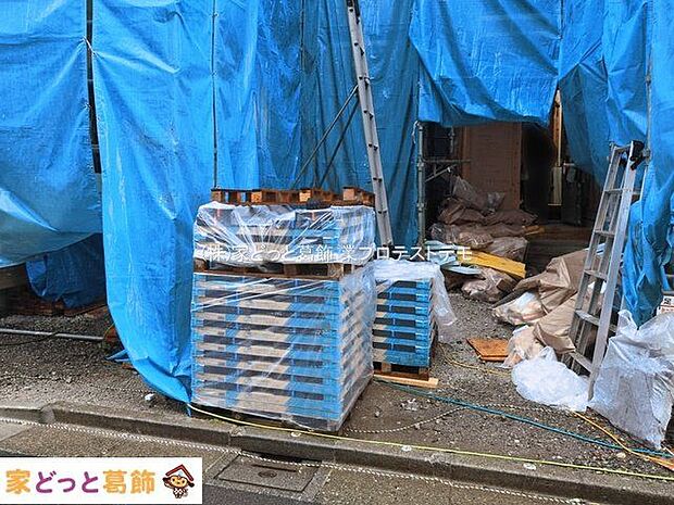 撮影日(2026-03-03 00:00:00)