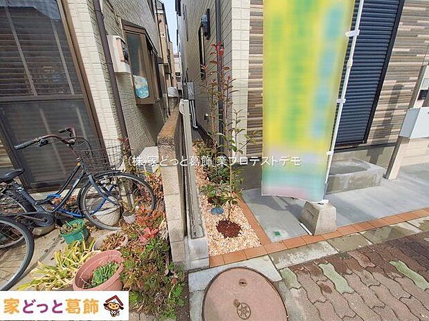 撮影日(2026-02-27 00:00:00)