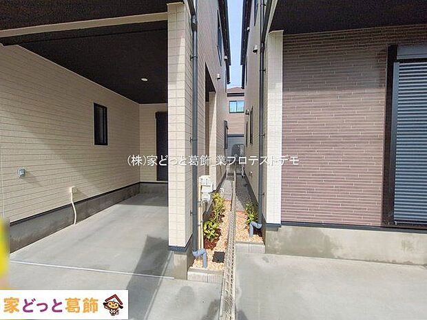 撮影日(2026-02-27 00:00:00)