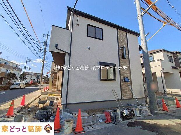 撮影日(2026-01-30 00:00:00)