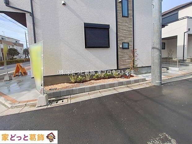 撮影日(2026-02-27 00:00:00)