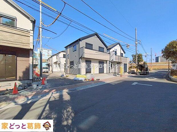 撮影日(2026-01-30 00:00:00)