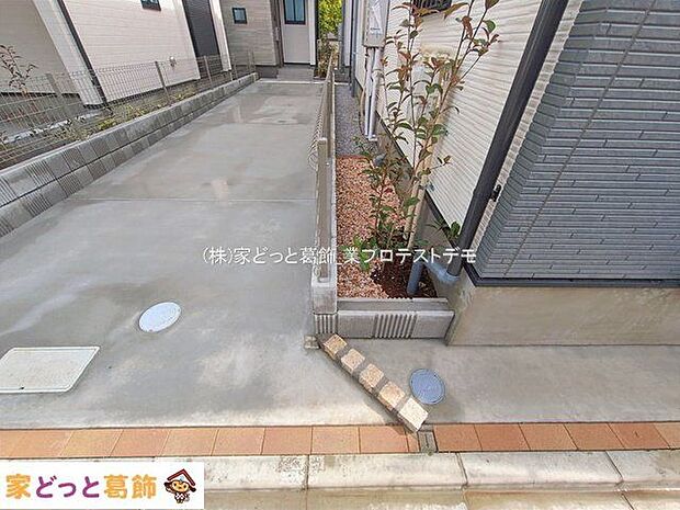 撮影日(2026-02-27 00:00:00)