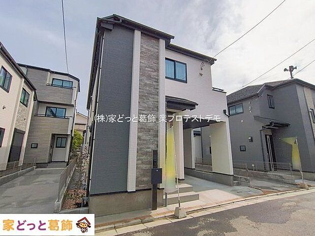 撮影日(2026-02-27 00:00:00)