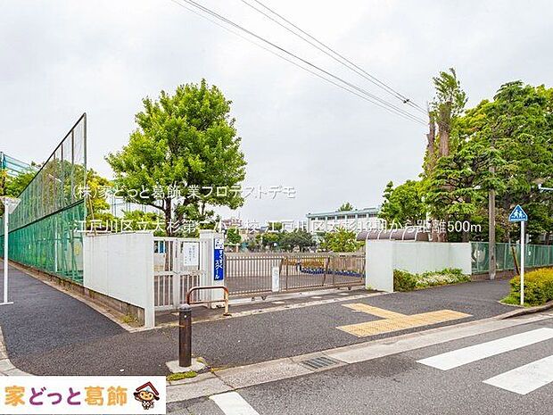 江戸川区立大杉第二小学校 撮影日(2021-05-13) 500m