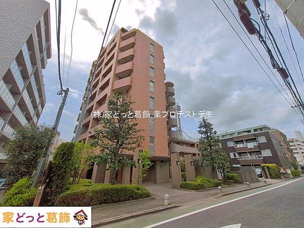 撮影日(2026-04-09 00:00:00)