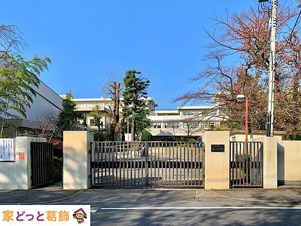 松戸市立第一中学校 徒歩8分。 600m
