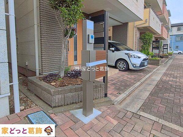 撮影日(2026-06-05 00:00:00)