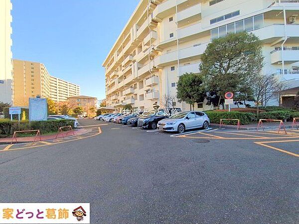 撮影日(2024-12-16 00:00:00)