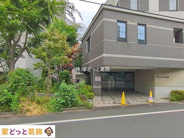 撮影日(2026-07-13 00:00:00)