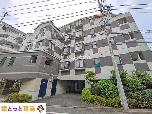 撮影日(2026-07-13 00:00:00)